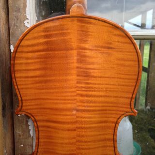Old Antique Violin Labeled " Nicolas Amatus " 4/4