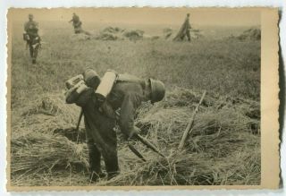 World Warii Archived Photo Wehrmacht Soldiers In Battlefield
