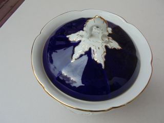 Antique Meissen Porcelain Cobalt Blue w Gold HP Flowers Covered Biscuit Jar 5