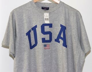 Nwt Vtg Polo Sport Ralph Lauren Usa Flag Spell Out Grey Blue T - Shirt L 92 93