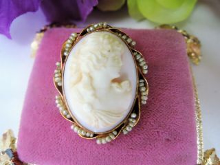 Vintage 10k Gold Seed Pearl Enhanced Carved Shell Cameo Brooch - Folding Pendant