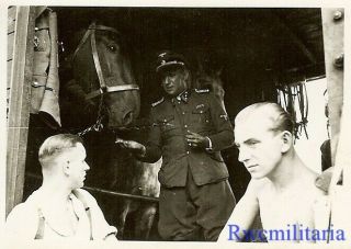 Rare German Elite Hauptsturmführer Officer Feeds Horse On Railway Car