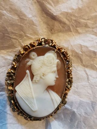 Victorian 2 Colour Gold Framed Shell Cameo Brooch Apollo Or Muse