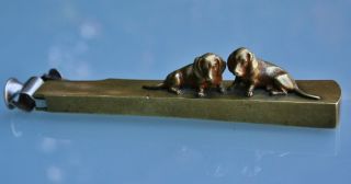 Antique Vienna Wiener Bronze Cigar Cutter With Dachshund Cubs,  Doggy,  Signed,  C.