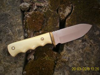 Vintage Custom Loveless Style Drop Point Hunting Bushcraft Bowie Knife 4