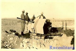 Desert Watch German Afrika Korps Soldiers W/ 2cm Flak Gun Stare At Horizon