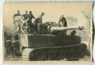German Wwii Archive Photo: Panzer Vi Tiger Heavy Tank & Its Crew