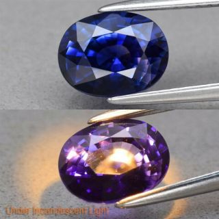 Rare 2.  28ct 8.  4x6.  4mm If Oval Natural Color Change Sapphire,  Ceylon