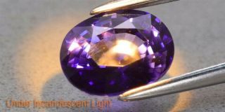 Rare 2.  28ct 8.  4x6.  4mm IF Oval Natural Color Change Sapphire,  Ceylon 3