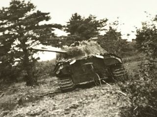 WW2 Photo Panther Tank 1944 Summer Destroyed GI Snap Shot Caption 2