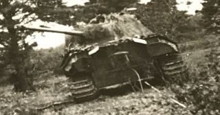 WW2 Photo Panther Tank 1944 Summer Destroyed GI Snap Shot Caption 3