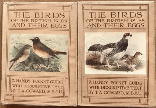 Vintage Bird Books: The Birds Of The British Isles And Their Eggs By Coward 1&2