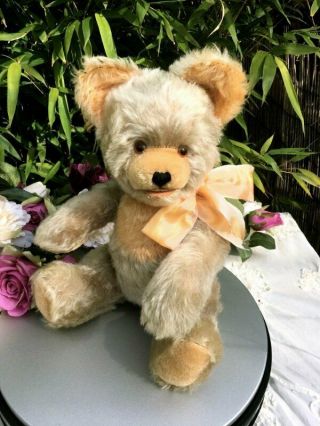 Vintage Fetcher Mohair Teddy Bear 16 Inches With Label