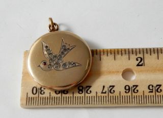 Antique Victorian Gold Filled Crystal Bird Locket Necklace Pendant M912 7
