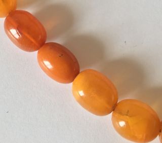 antique EGG YOLK BUTTERSCOTCH chunky AMBER BEAD NECKLACE 41g 1.  5cm beads 4