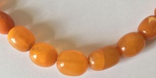antique EGG YOLK BUTTERSCOTCH chunky AMBER BEAD NECKLACE 41g 1.  5cm beads 5