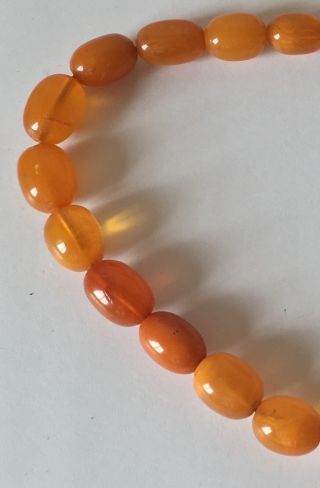 antique EGG YOLK BUTTERSCOTCH chunky AMBER BEAD NECKLACE 41g 1.  5cm beads 7