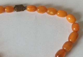 antique EGG YOLK BUTTERSCOTCH chunky AMBER BEAD NECKLACE 41g 1.  5cm beads 8