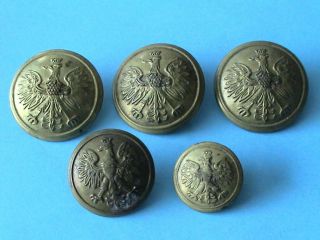 Set Of Polish Pre War Military Buttoms - Eagle With Crown - Bargain