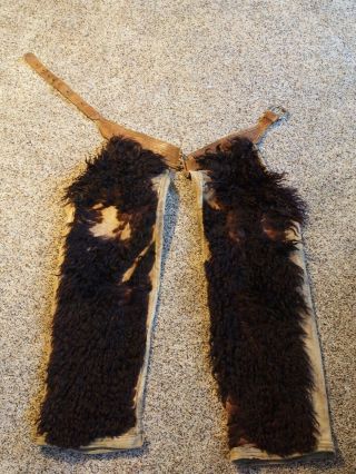 Antique Black Wooly Chaps (" Woolies ") Stamped " Fred Waltz "