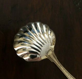 Buccellati Italy Milano Sterling Silver Scallop Sugar Spoon 4