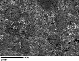 Meteorite Cm1/2 - Nwa 11322 - 2 Gr - Very Rare Class