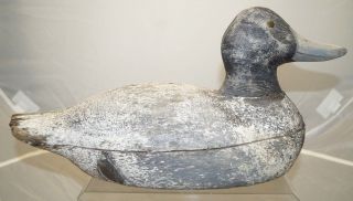 Rarity Antique 1900 - 1920s Tack Eye Bluebill Wood Hunting Duck Decoy Lure