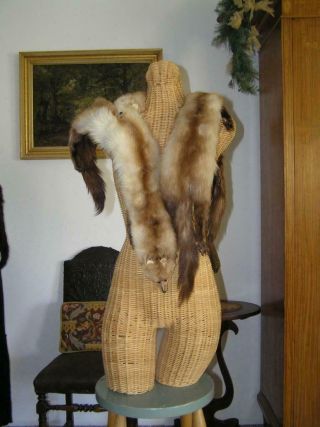 Vintage 3 Mink Fur Stole Shawl Wrap Tails 1940 