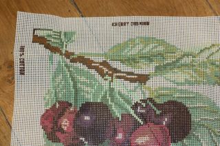 RARE EHRMAN KAFFE FASSETT Cherries TAPESTRY NEEDLEPOINT KIT VINTAGE ROWAN 7