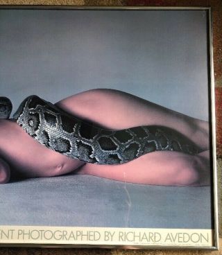 Vintage Poster Richard Avedon Nastassja Kinski Serpent Girl & The Snake 4