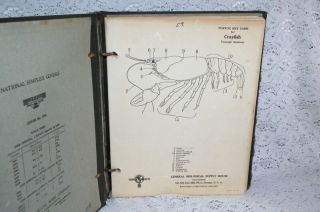 Rare Vintage Science General Biological Supply House Notebook 26 Pics 1930 