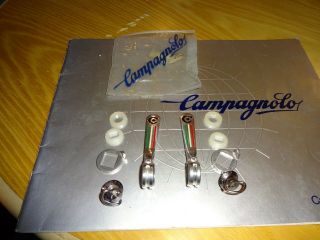 Vintage Campagnolo / Nuovo Record Shifters Colnago Pantographed
