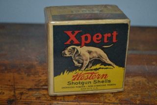 Very Rare Antique Western Xpert Shotgun Shot Shell Box 12 Ga W/pointer Dog Empty