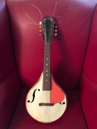 Vintage Strad O Lin Mandolin 1955 Red And White Mandolin