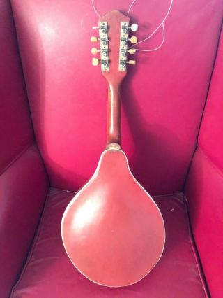 Vintage strad O Lin mandolin 1955 Red and white mandolin 2