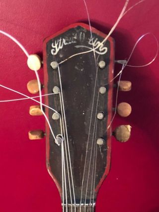 Vintage strad O Lin mandolin 1955 Red and white mandolin 3