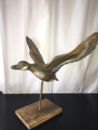 Antique Duck Decoy Carved Solid Wood Flying In Flight Glass Eyes Rare Bird Ct