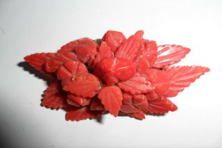 Vtg Antique Brooch Pin Hand Carved Real Red Coral Art Deco