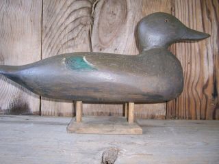 Antique - Vintage - Factory - Tule - Lake - Rare - Mallard - Wooden Duck Decoy