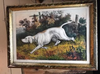 Antique Currier Ives Dog Print A Stanch Pointer Bright Colors