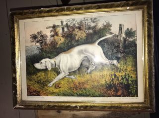 Antique Currier Ives Dog Print A Stanch Pointer Bright Colors 2