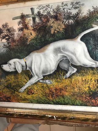 Antique Currier Ives Dog Print A Stanch Pointer Bright Colors 4