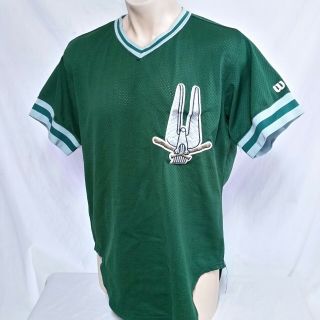 Vtg South Bend Silver Hawks Baseball Jersey Minor League Wilson 90s Authentic 48