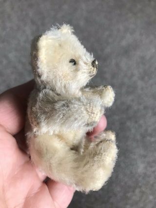 RARE VINTAGE C1950 Jointed Steiff 3.  5” Miniature White Mohair Bear W/Button 3