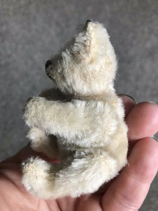 RARE VINTAGE C1950 Jointed Steiff 3.  5” Miniature White Mohair Bear W/Button 4