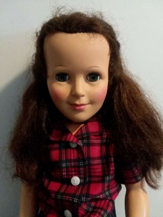 Lori Martin Doll Ideal Toy Metro Goldwyn Mayer Inc Mgm National Velvet 30 "