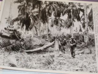 Wwii Ap Wire Photo Infantry & Tanks 41st Division On Mindanao Island 3/21/45 775