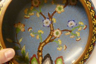 Vintage Heavy Chinese Cloisonne Bowl With Elegant Floral Design 3