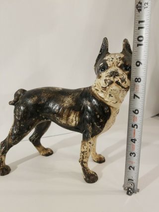 Old Vtg Cast Iron Hubley? Boston Terrier French Bull Dog Door Stop Brwn Wht 2