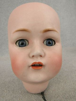 Lg Antique German Kestner Bisque Doll Head For Repair Head Only W Damage